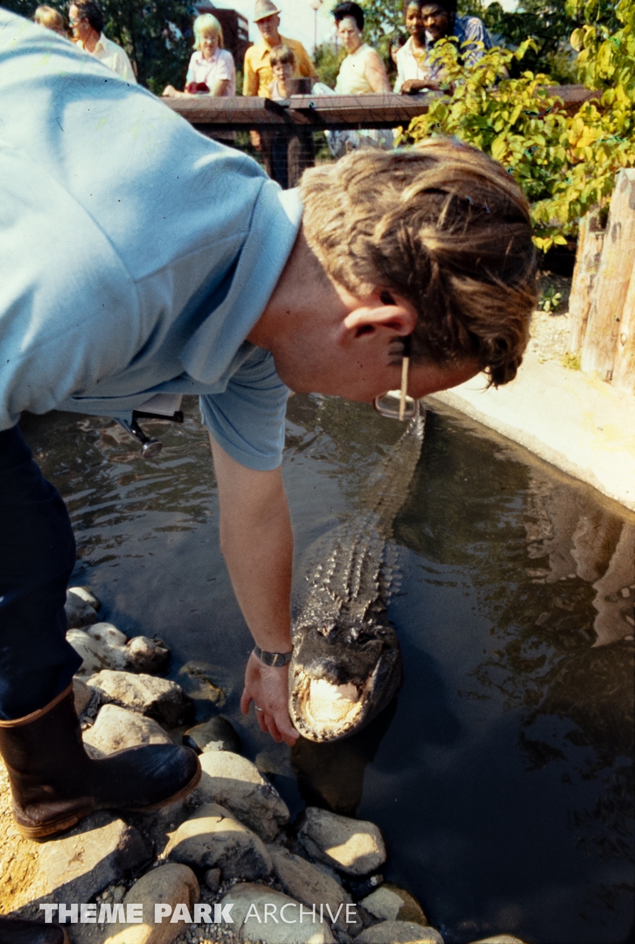 Alligator Exhibit at SeaWorld Ohio