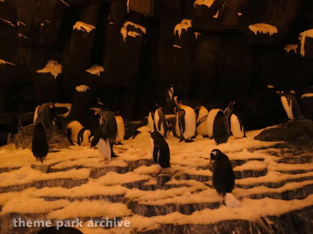 Antarctica Empire of the Penguin at SeaWorld Orlando