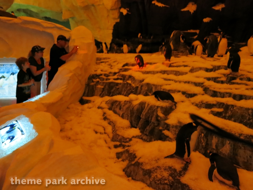 Antarctica Empire of the Penguin at SeaWorld Orlando