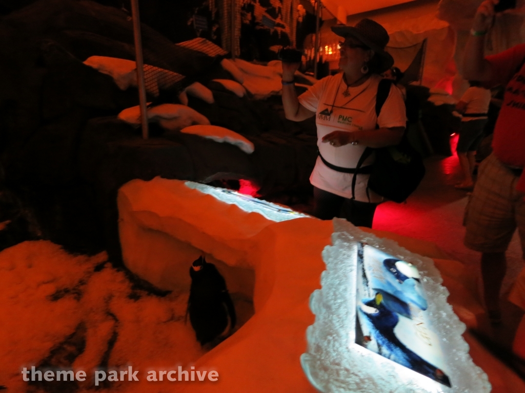 Antarctica Empire of the Penguin at SeaWorld Orlando