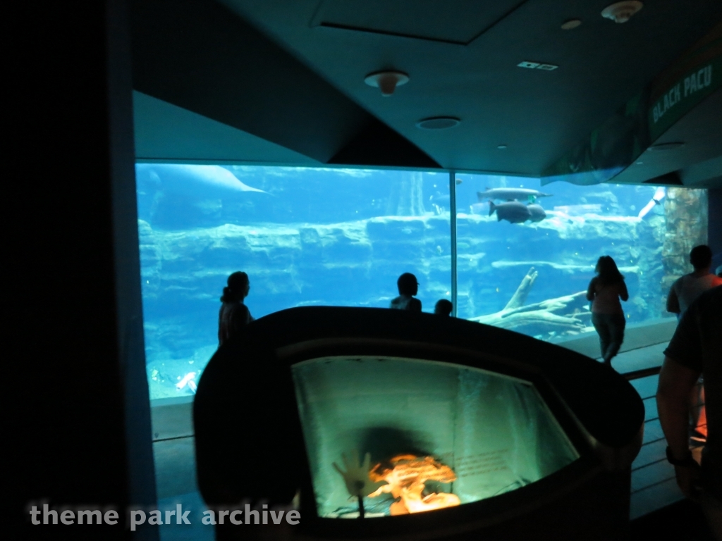 Turtle Trek at SeaWorld Orlando