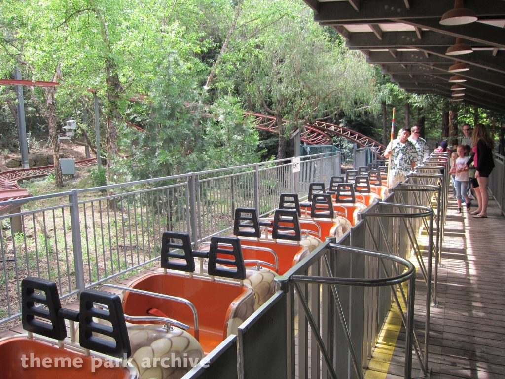 Timber Twister at Gilroy Gardens