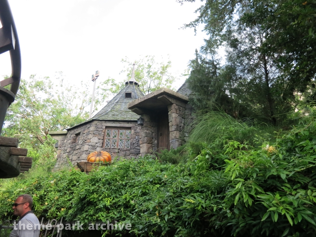 Flight of the Hippogriff at Universal City Walk Orlando