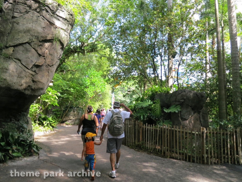 Oasis at Disney's Animal Kingdom