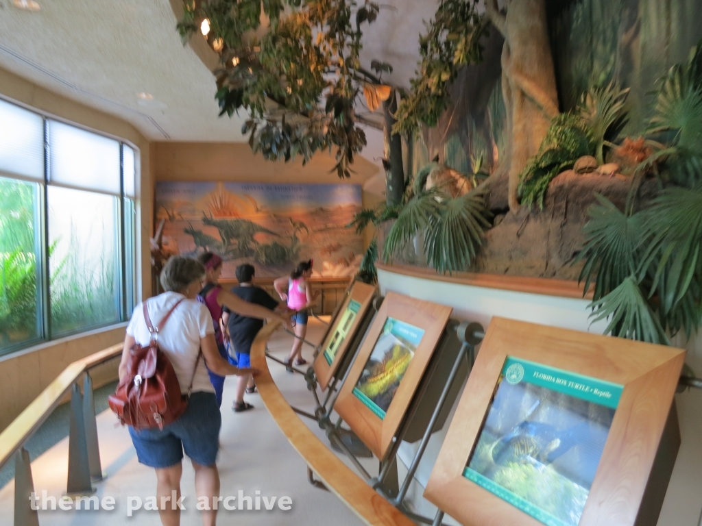 DINOSAUR at Disney's Animal Kingdom