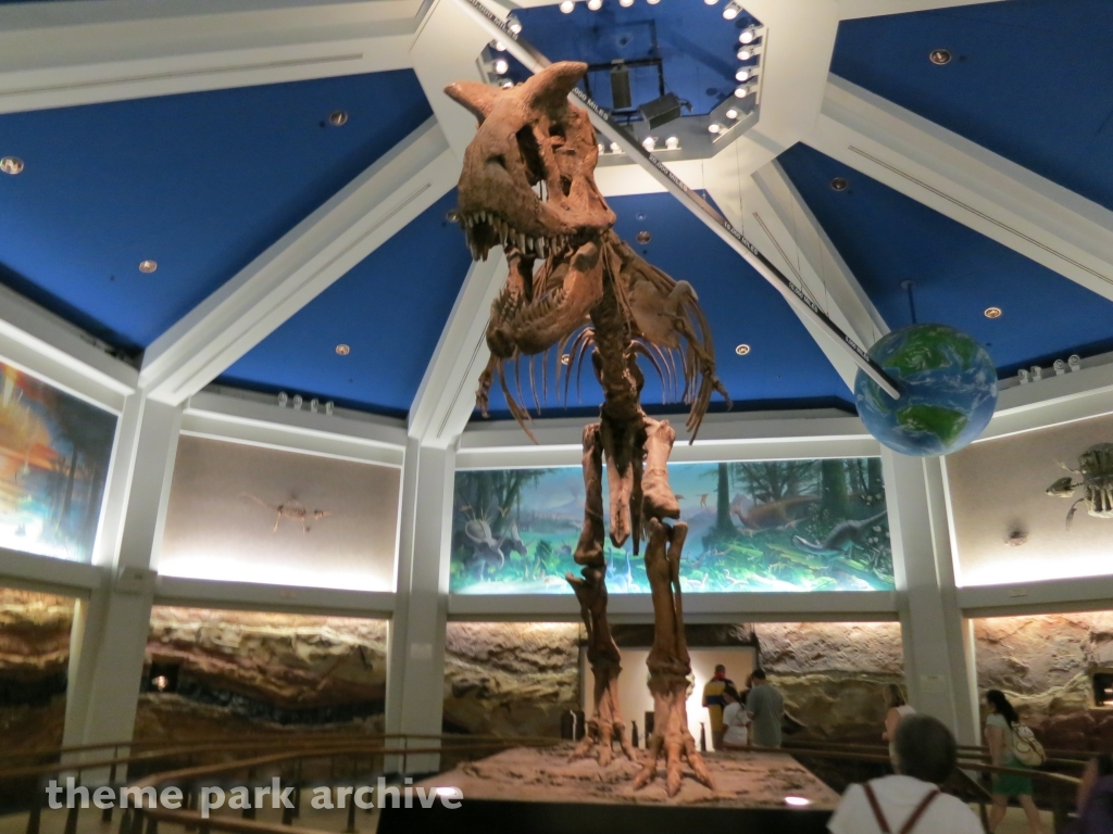 DINOSAUR at Disney's Animal Kingdom