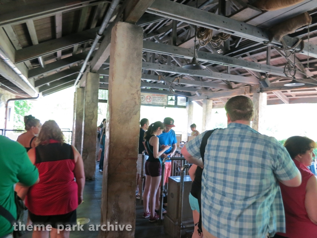 Expedition Everest at Disney's Animal Kingdom