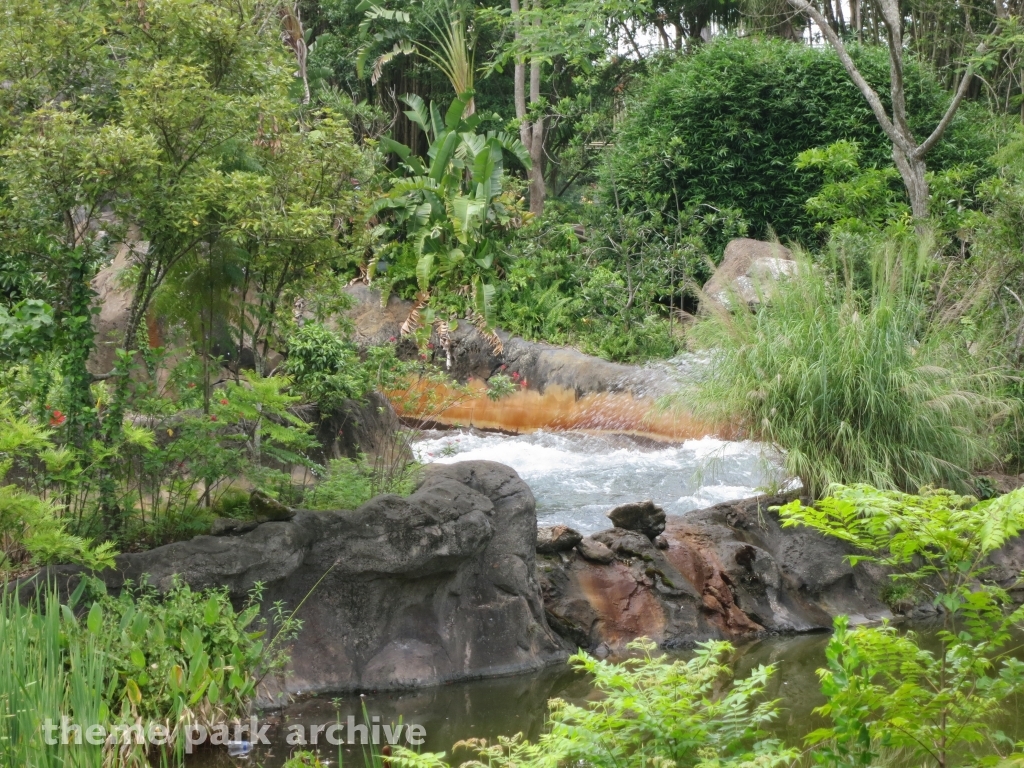 Kali River Rapids at Disney's Animal Kingdom
