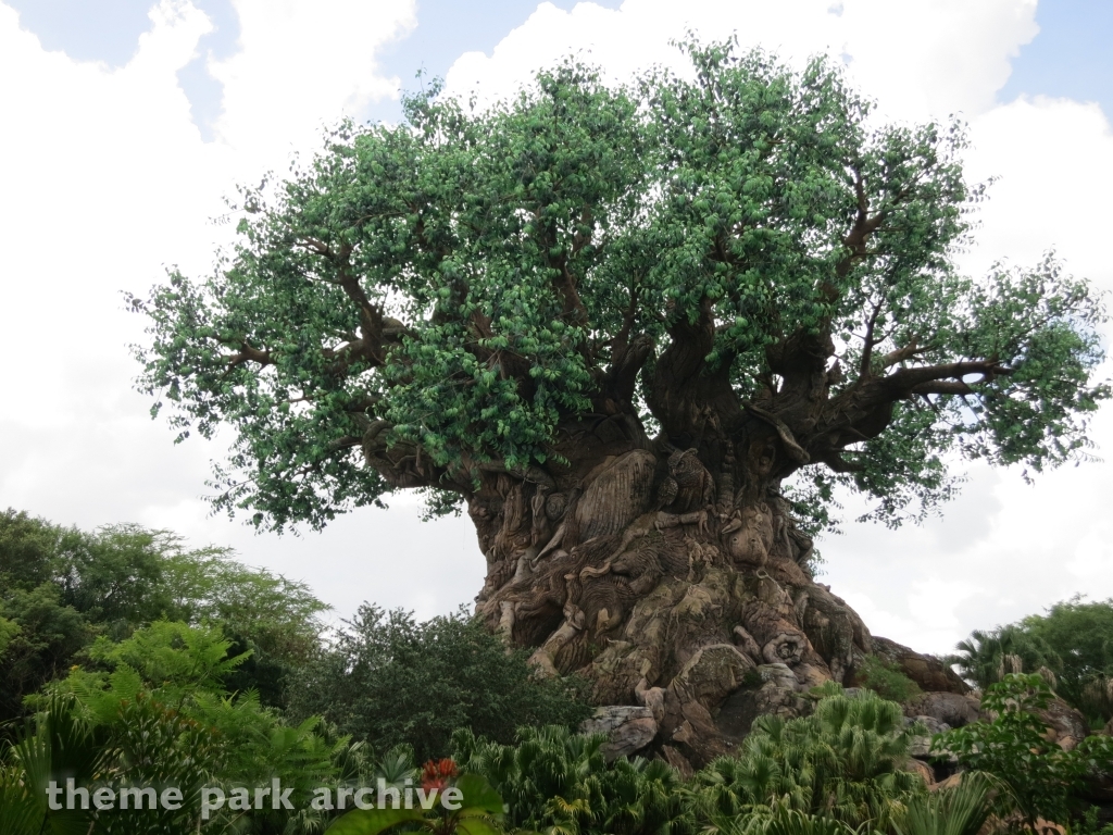 Discovery Island at Disney's Animal Kingdom