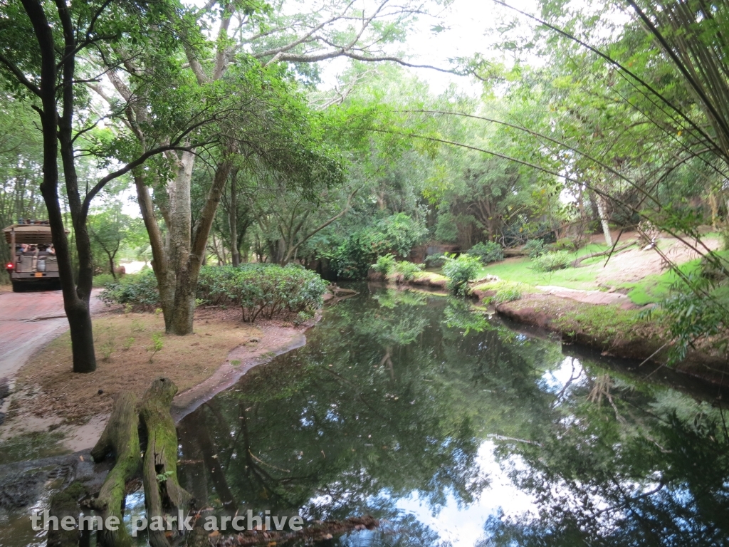 Kilimanjaro Safaris at Disney's Animal Kingdom