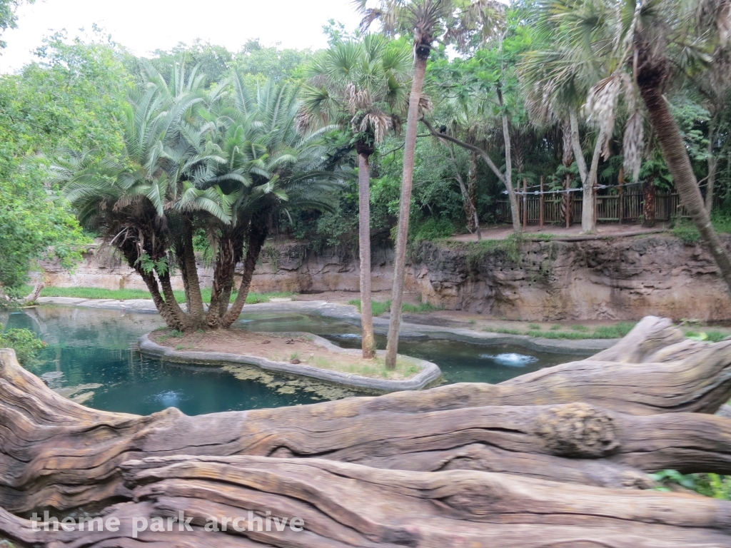 Kilimanjaro Safaris at Disney's Animal Kingdom