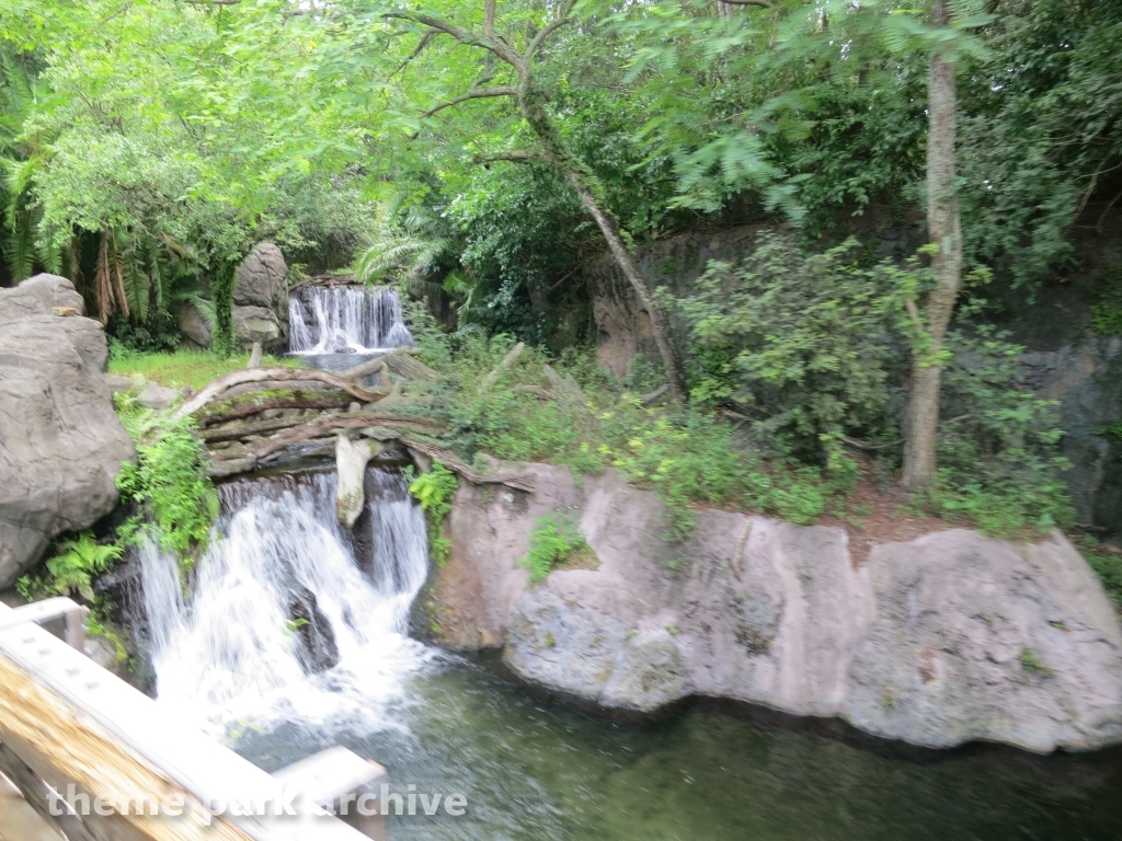 Kilimanjaro Safaris at Disney's Animal Kingdom