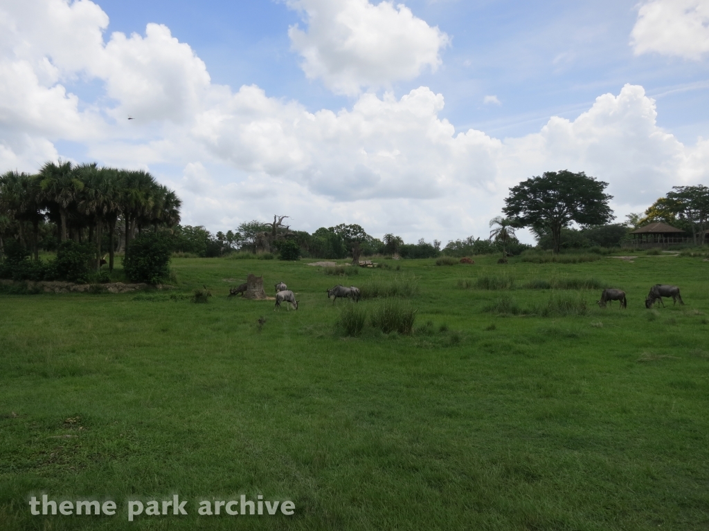 Kilimanjaro Safaris at Disney's Animal Kingdom
