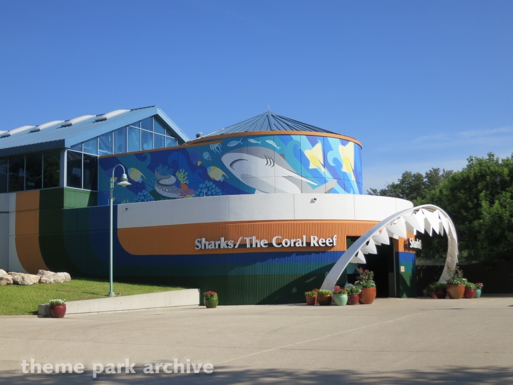 Sharks   The Coral Reef at SeaWorld San Antonio