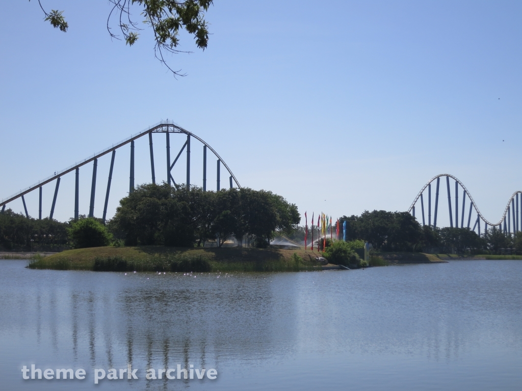 Steel Eel at SeaWorld San Antonio