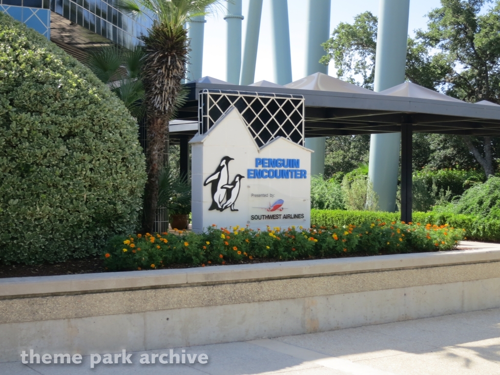 Penguin Encounter at SeaWorld San Antonio