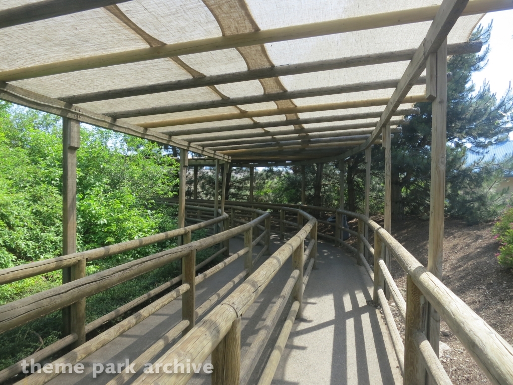 Timber Terror at Silverwood Theme Park and Boulder Beach Waterpark