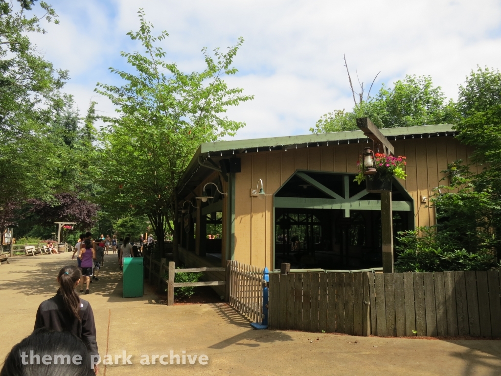 Dodgems at Wild Waves Theme Park