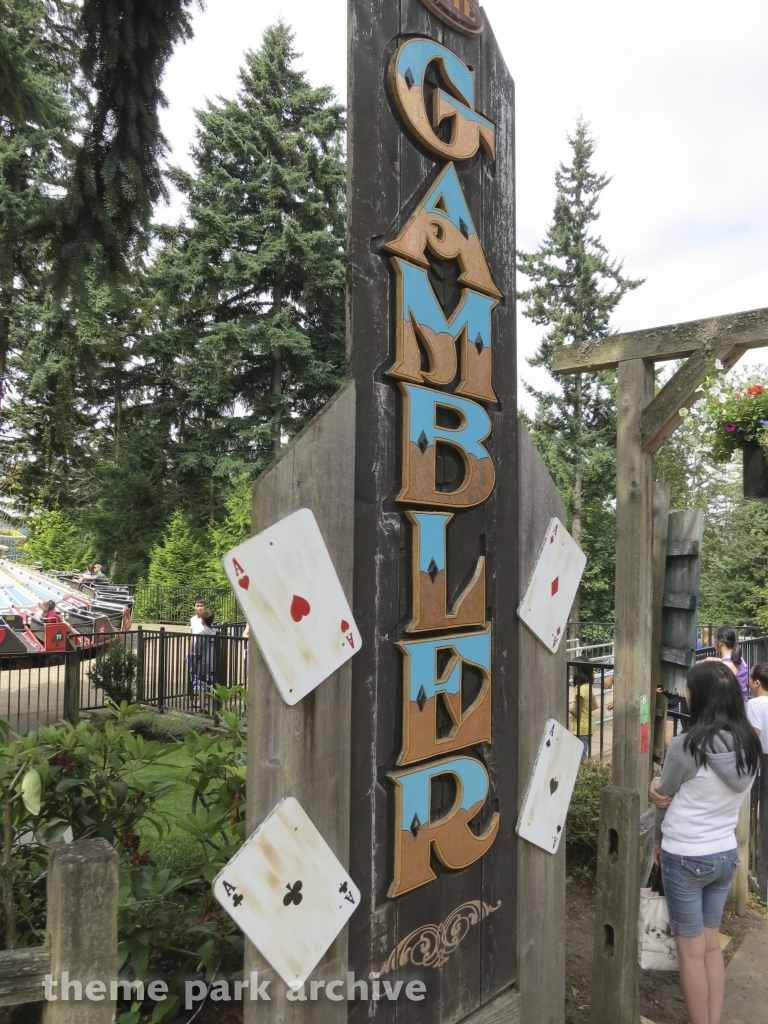 The Gambler at Wild Waves Theme Park