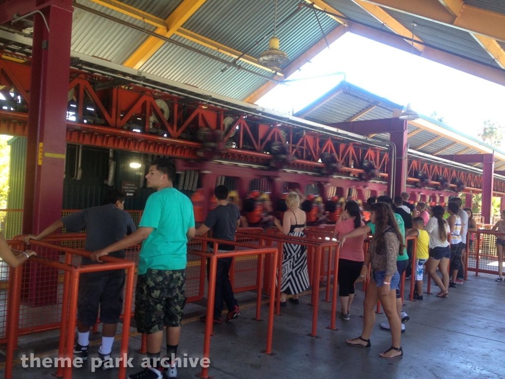 The Flash: Vertical Velocity at Six Flags Discovery Kingdom