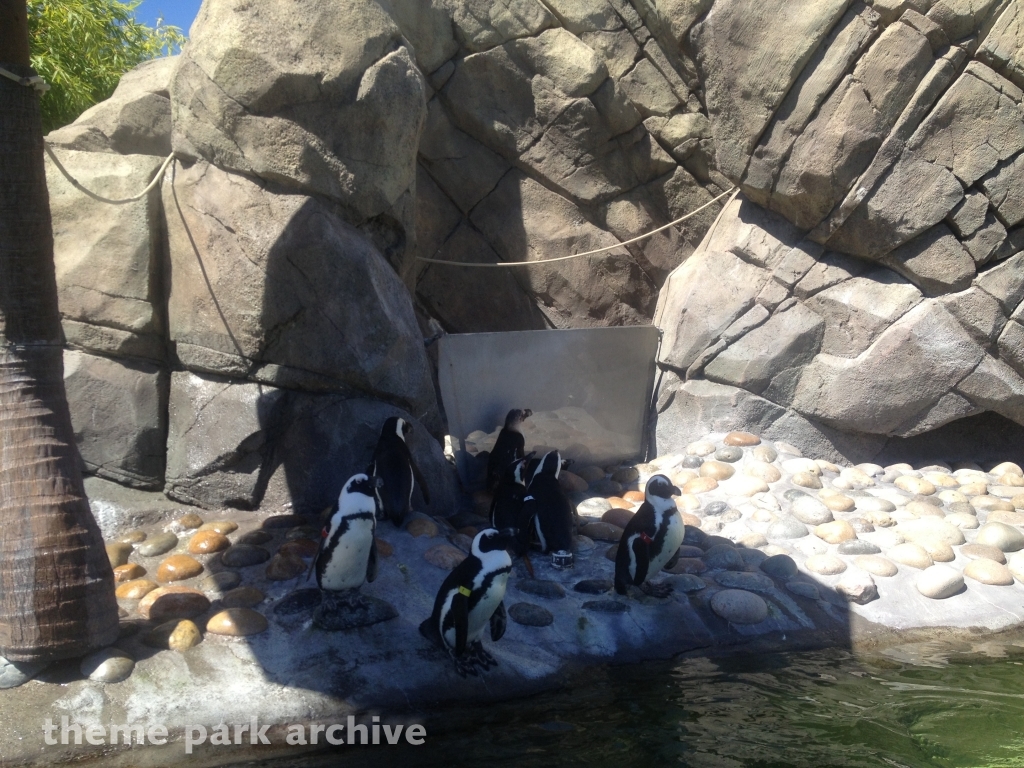 Penguin Passage at Six Flags Discovery Kingdom