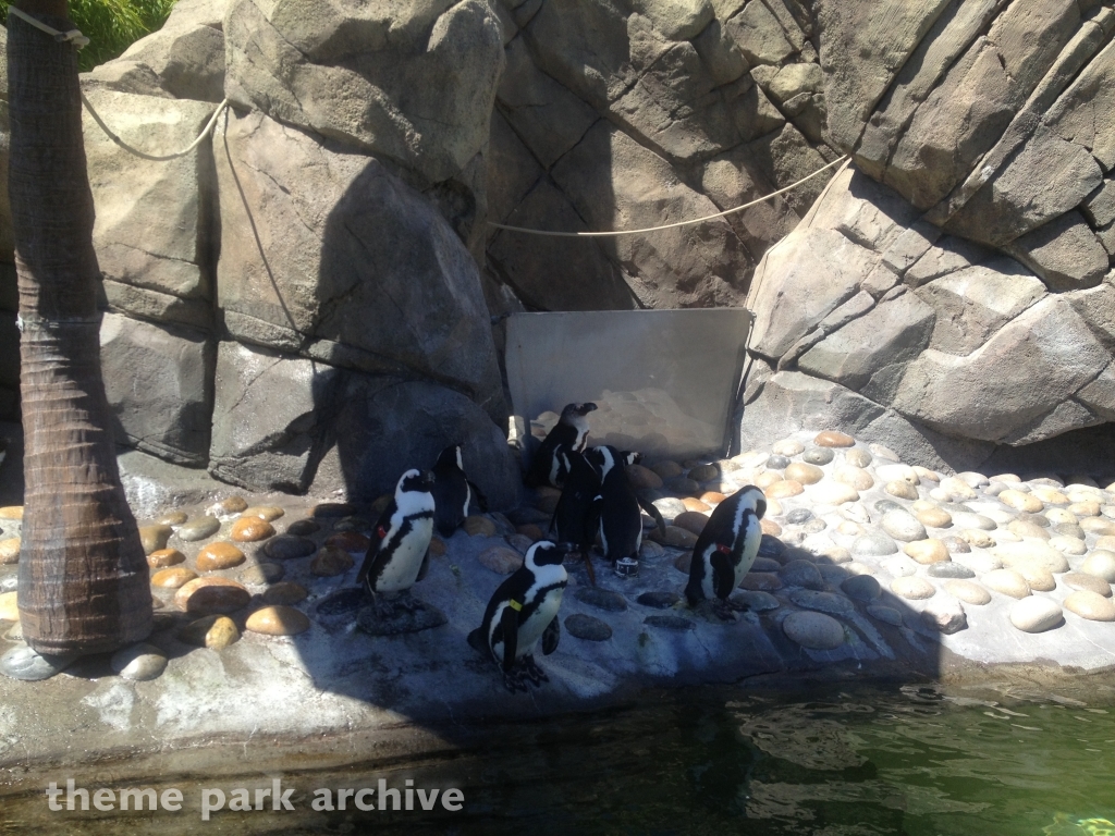 Penguin Passage at Six Flags Discovery Kingdom
