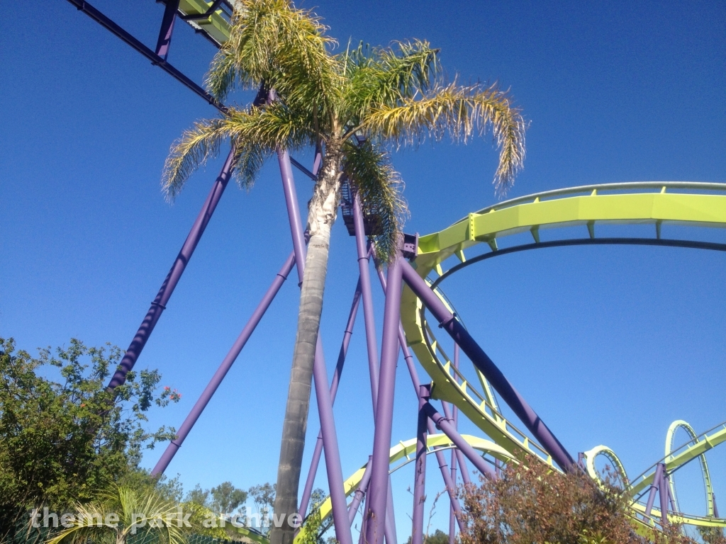 Medusa at Six Flags Discovery Kingdom