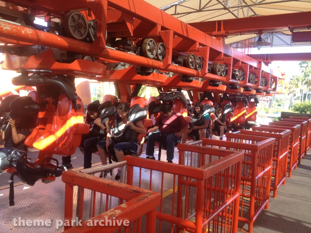 Kong at Six Flags Discovery Kingdom