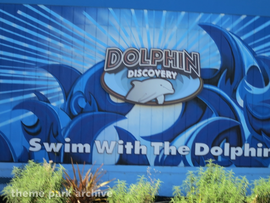 Dolphin Discovery at Six Flags Discovery Kingdom