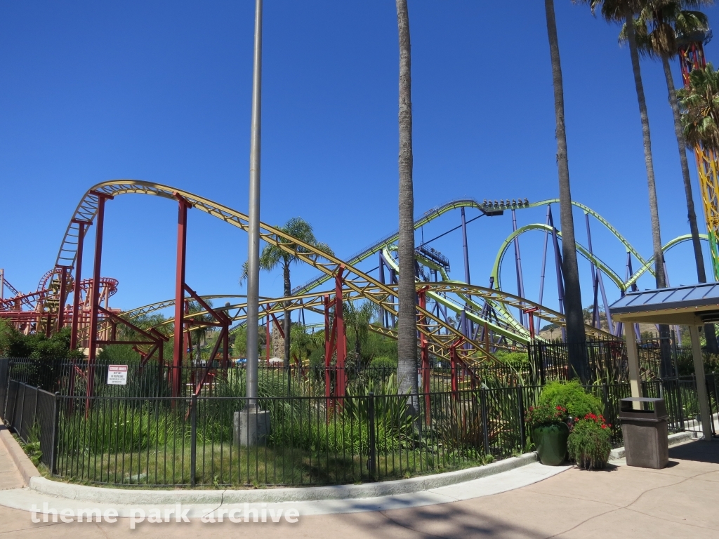 Cobra at Six Flags Discovery Kingdom