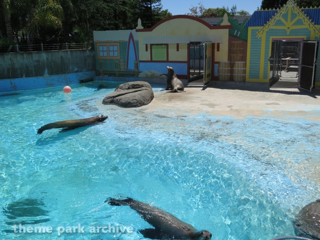 Seal Cove at Six Flags Discovery Kingdom