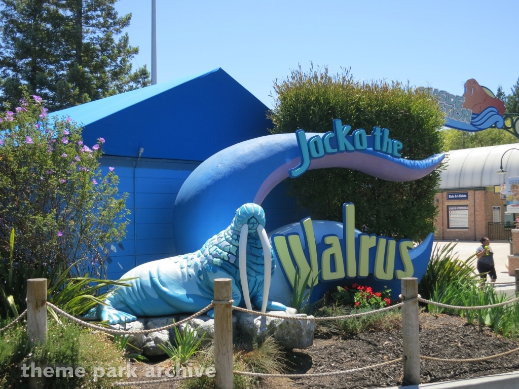 Walrus Experience at Six Flags Discovery Kingdom