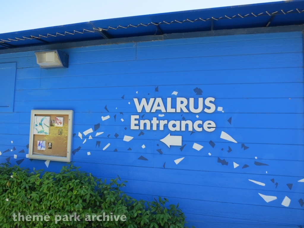 Walrus Experience at Six Flags Discovery Kingdom