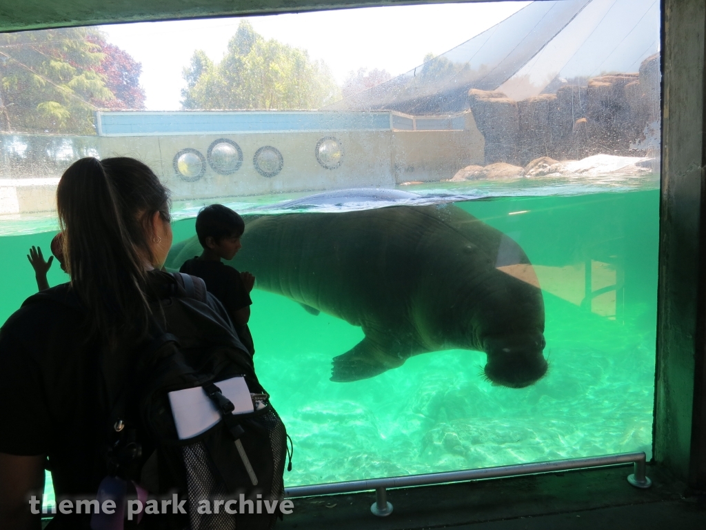 Walrus Experience at Six Flags Discovery Kingdom