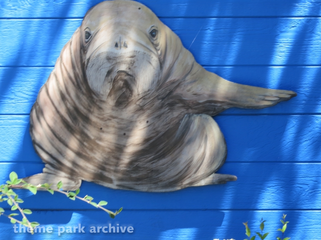 Walrus Experience at Six Flags Discovery Kingdom