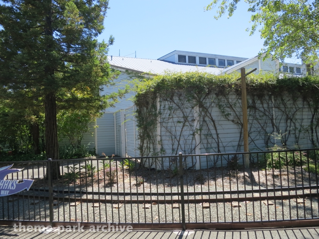 Sharks at Six Flags Discovery Kingdom