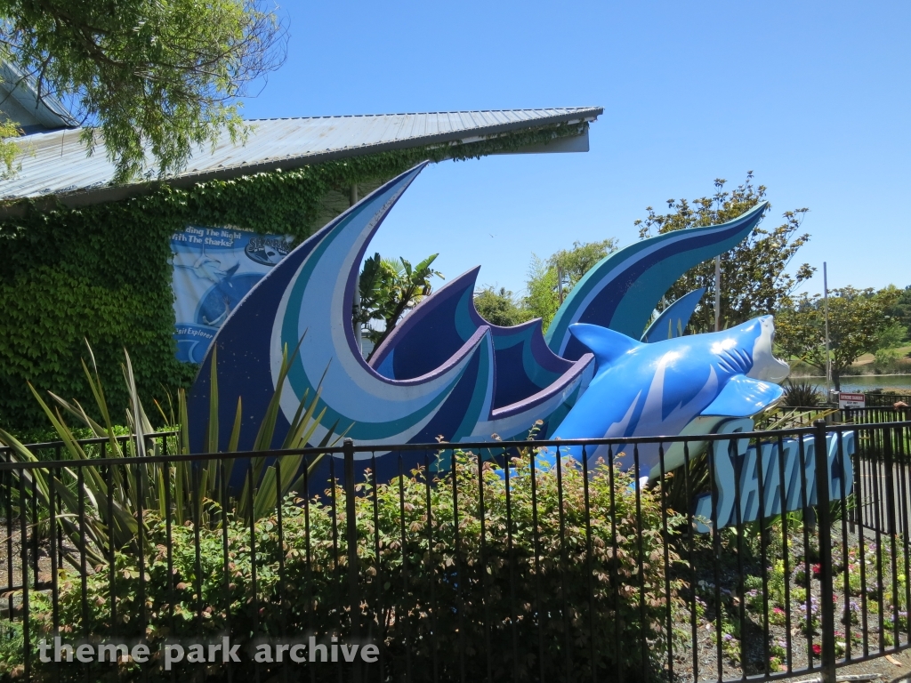 Sharks at Six Flags Discovery Kingdom