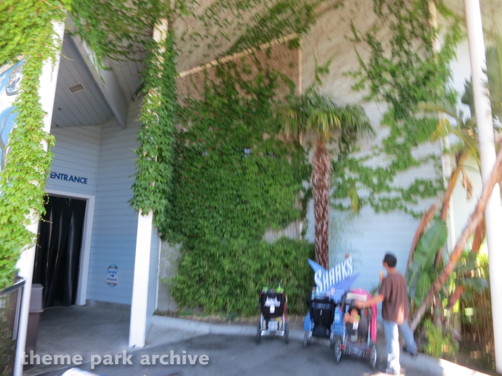 Sharks at Six Flags Discovery Kingdom