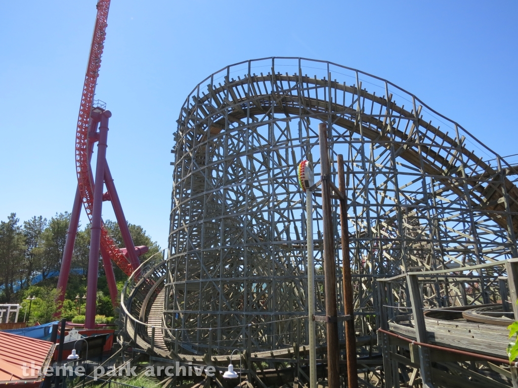Roar at Six Flags Discovery Kingdom
