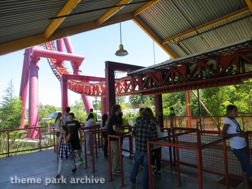 The Flash: Vertical Velocity at Six Flags Discovery Kingdom