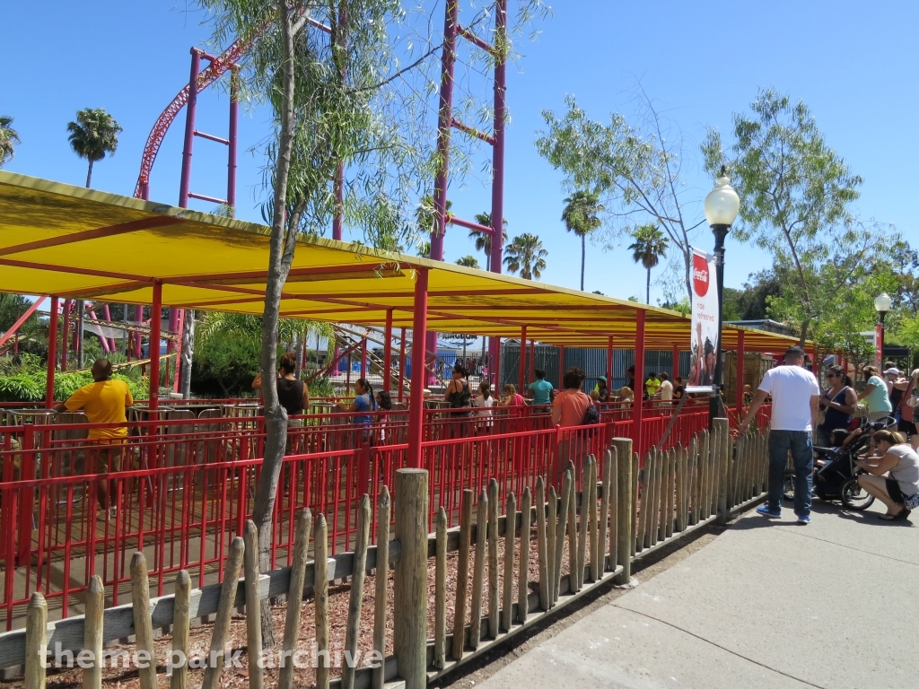 Cobra at Six Flags Discovery Kingdom