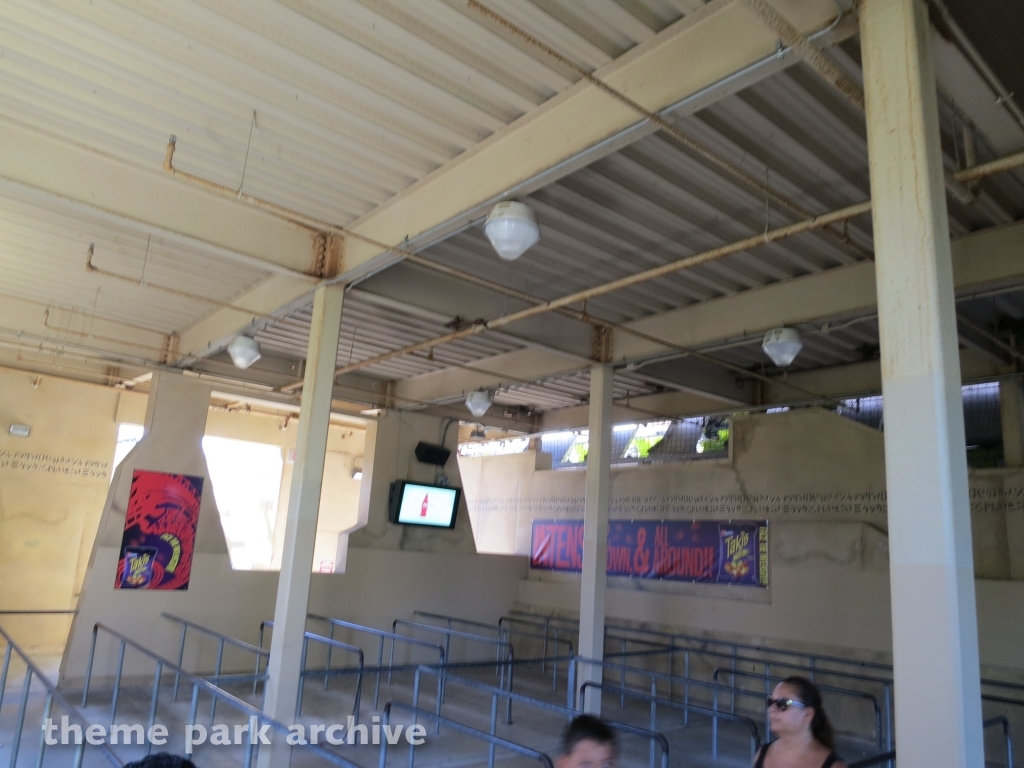 Medusa at Six Flags Discovery Kingdom