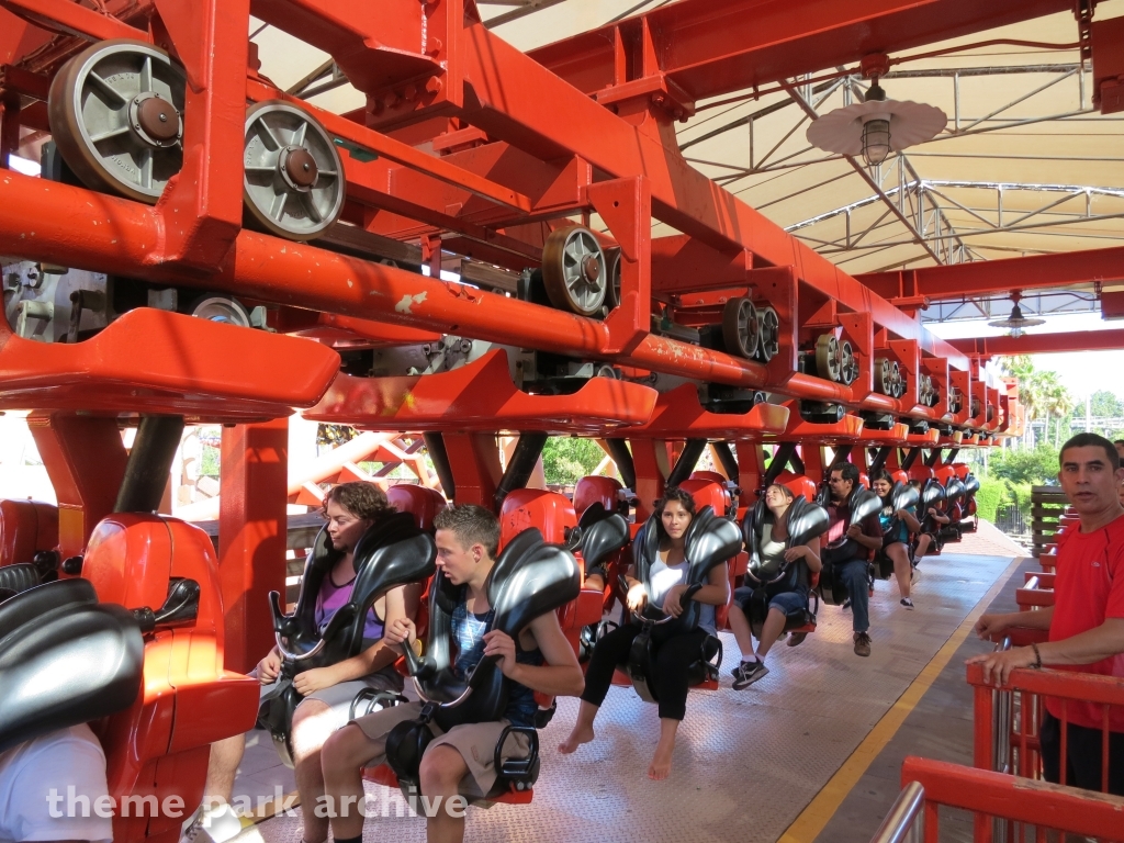 Kong at Six Flags Discovery Kingdom