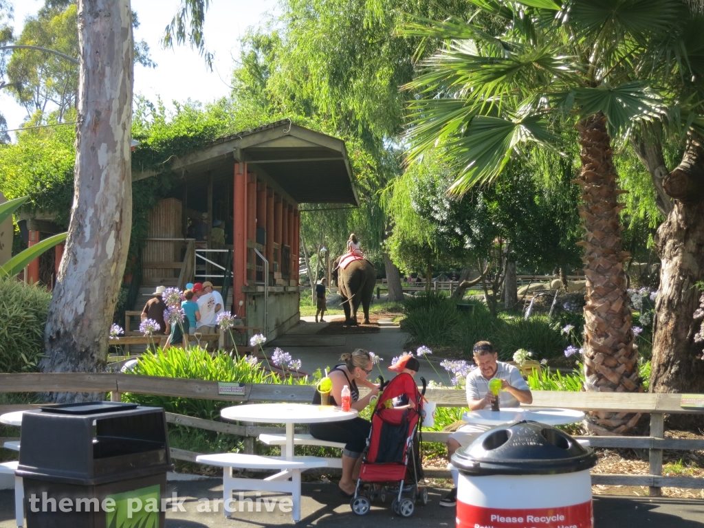 Elephant Ride at Six Flags Discovery Kingdom