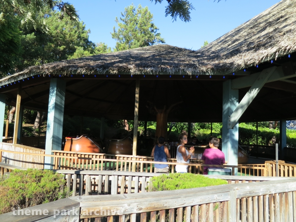 Monkey Business at Six Flags Discovery Kingdom
