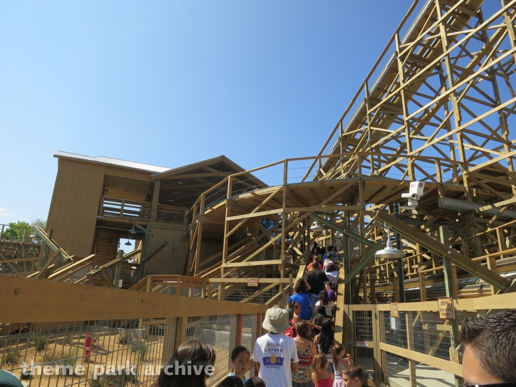 Gold Striker at California's Great America
