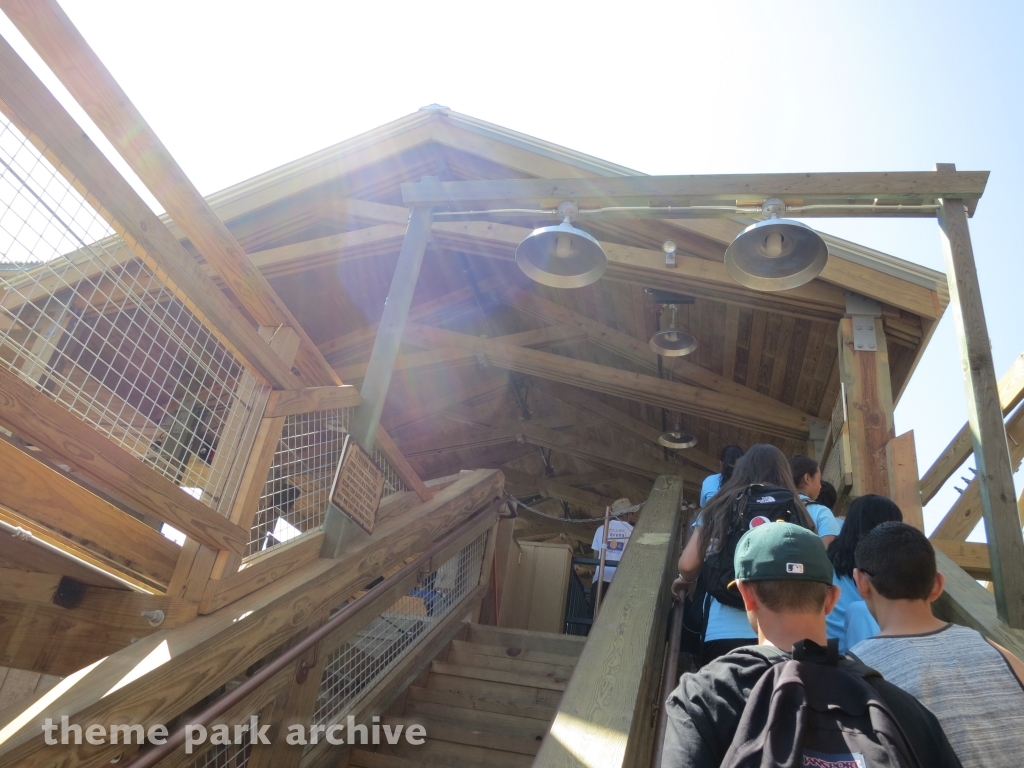 Gold Striker at California's Great America