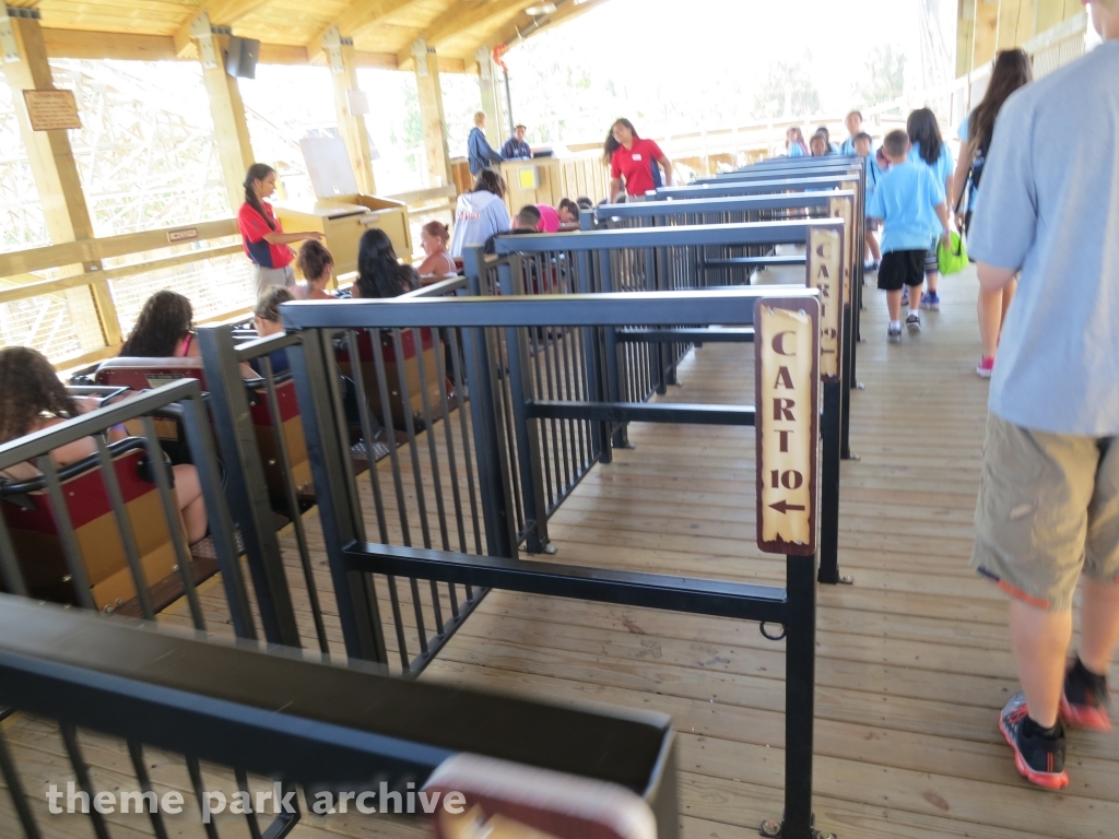 Gold Striker at California's Great America