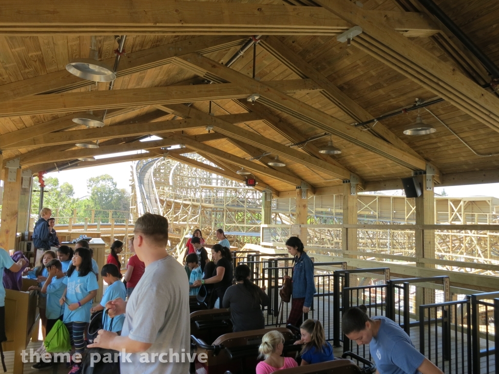 Gold Striker at California's Great America