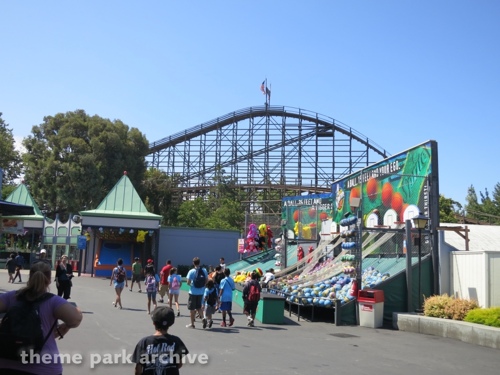 Grizzly at California's Great America